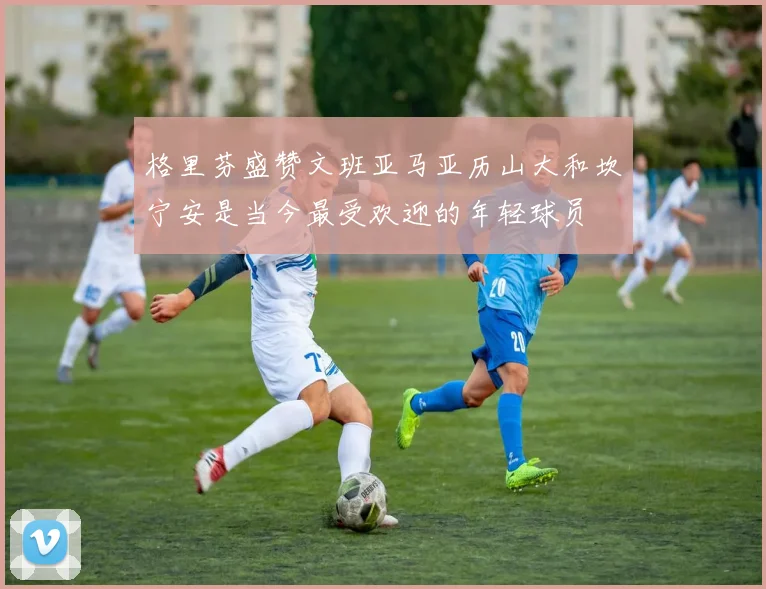 格里芬盛赞文班亚马亚历山大和坎宁安是当今最受欢迎的年轻球员