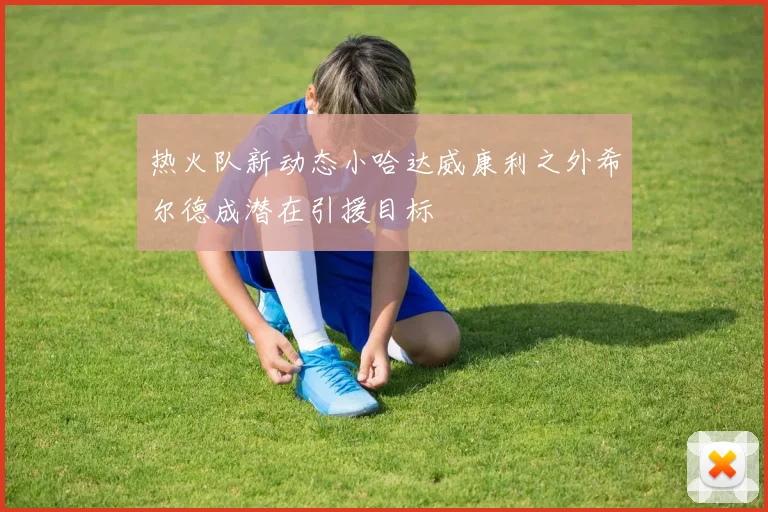 热火队新动态小哈达威康利之外希尔德成潜在引援目标