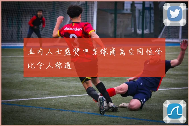 业内人士盛赞申京球商高合同性价比令人称道